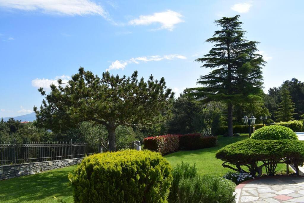 Casa Chrissy Villa