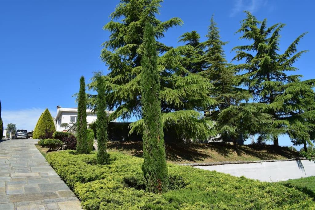 Casa Chrissy