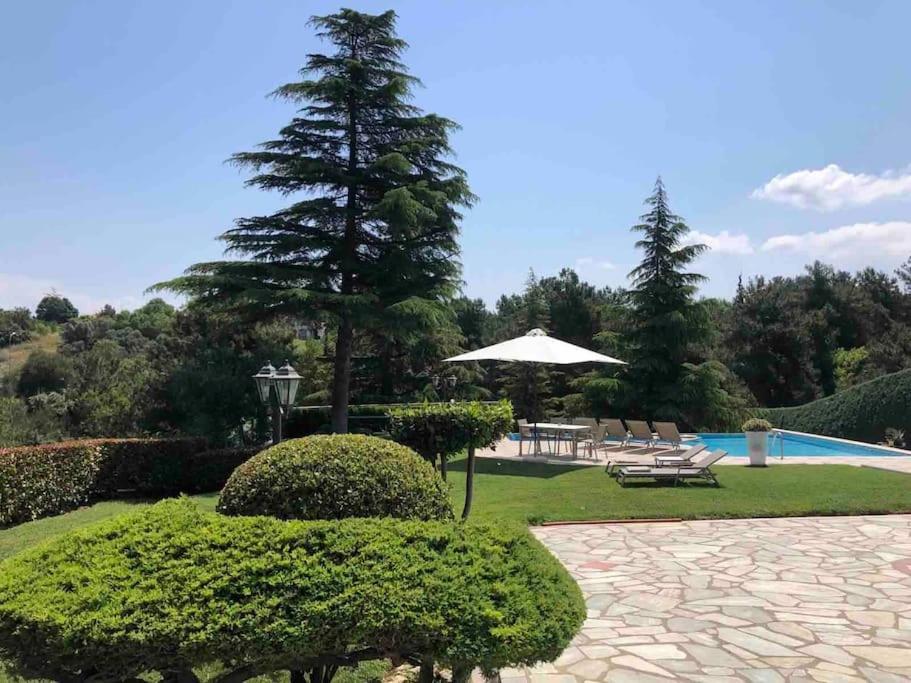 Casa Chrissy